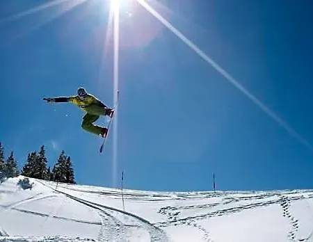 Alpenhof Szálloda 3*